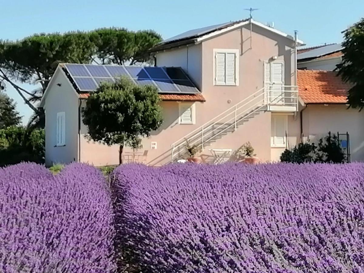 Agriturismo Susanna E Atria Bibbona Exteriör bild
