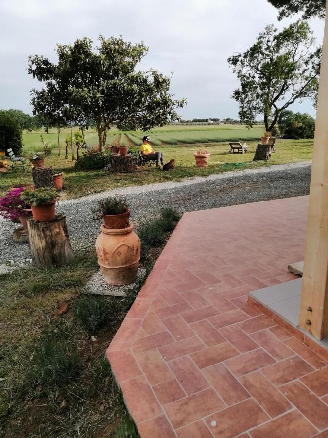 Agriturismo Susanna E Atria Bibbona Exteriör bild