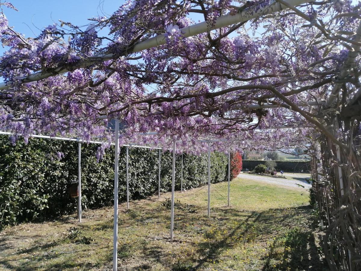 Agriturismo Susanna E Atria Bibbona Exteriör bild